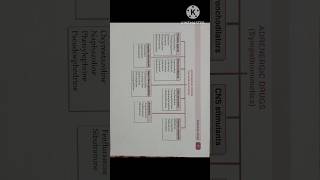 4 August 2024 Adrenergic Drug Sympathomimetics With preparation shortvideo shorts viralvideo [upl. by Roux171]