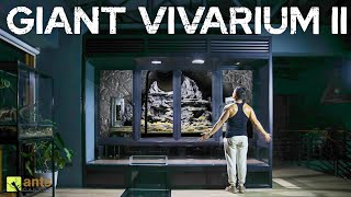 I Built My Next Giant Vivarium II and Its Ready For Life [upl. by Carlin]