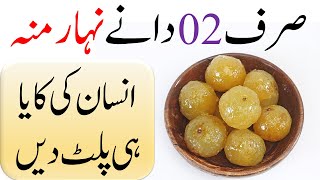 Amla ke Fayde  Indian Gooseberry Benefits  Amla Powder  Amla ka Murabba Benefits [upl. by Popper]