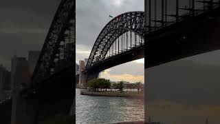 Evening view of sydney opera and harbour [upl. by Metah]