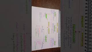 Phylum CHORDATA classification biology neet clas11 [upl. by Artemahs]