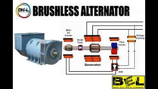 Brushless alternator working at Basic Electrical Learning [upl. by Repsihw]