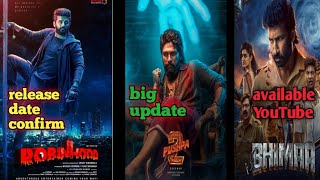 Akhanda 2 confirm Robin Hood release date Bhimaa movie hindi available l new update 2024 [upl. by Odidnac]