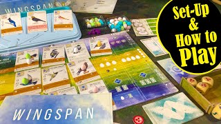 WINGSPAN Setup and How to Play followed by a Solo Play Thru with the AUTOMA [upl. by Aivad489]