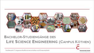 Biotechnologie Lebensmitteltechnologie Pharmatechnik amp Verfahrenstechnik I Hochschule Anhalt [upl. by Elson832]