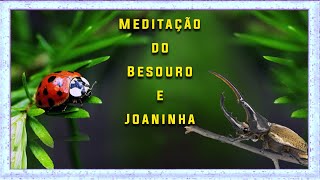 Meditação do Besouro [upl. by Gerald712]