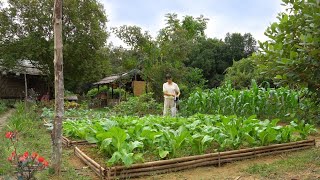 Full Video 90 Days of Farm Life Farming Garden Harvesting Cooking Animal Care [upl. by Ainnet161]