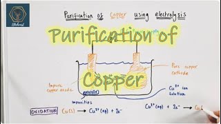 Purification of Copper Using Electrolysis  GCSE Chemistry [upl. by Anotyal581]