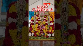 அமெரிக்கா வில் முருகன் திருக்கல்யாணம் Carolina Murugan TempleMoncureNCshortsytshorts [upl. by Canotas]