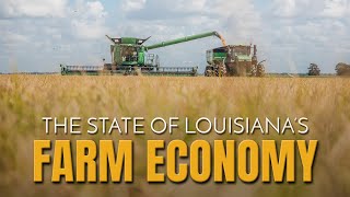 Louisiana Farmers Need a New Farm Bill [upl. by Aerbma]