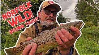 Wild Norfolk Chalk Stream Fly Fishing [upl. by Malissa230]