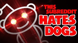 This Subreddit HATES DOGS [upl. by Nosde]