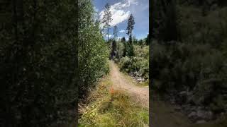 Trysil playboicarti mtb [upl. by Enyalb]