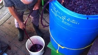 Homemade Italian Wine [upl. by Haerb]