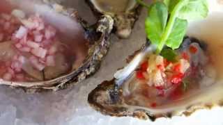 How to Shuck and Prepare Oysters  Recipe Idea  GB1 Restaurant  Brighton [upl. by Yemrots]