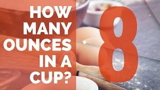 How Many Ounces in a Cup  Conversion Guide [upl. by Reinke]