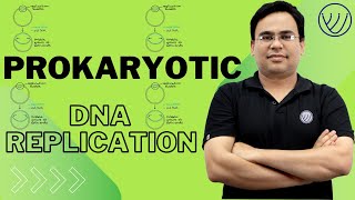 DNA REPLICATION IN PROKARYOTES  INITIATION ELONGATION TERMINATION  CSIR NET LIFE SCIENCE [upl. by Rhines]