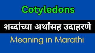 Cotyledons Meaning In Marathi  Cotyledons explained in Marathi [upl. by Irene]