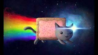 Nyan cat  ELECTRO REMIX [upl. by Haimerej398]