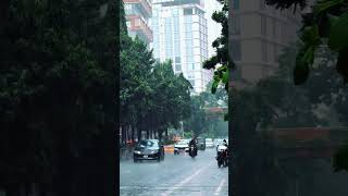 Dhaka titumir college rain shortsvideo environment beautiful [upl. by Akirehs]