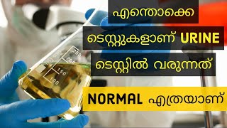 Important Urine Tests and Normal Values Explained in Malayalam [upl. by Tiat]