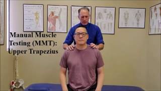 Manual Muscle Test MMT Trapezius Traps [upl. by Airdnek]