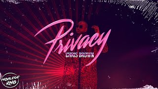 Chris Brown  Privacy Official Lyrics [upl. by Nivar963]