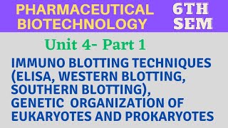 Immunoblotting techniques  ELISA  Western blotting  Southern blotting  Genetic organization [upl. by Laughton]