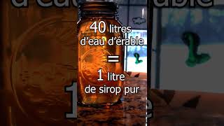 Comment faiton du sirop dérable Technique artisanale présentée en 43 secondes [upl. by Reteid]