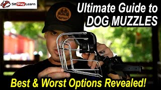 Best Dog Muzzles with Nick White and Dirk Hamilton [upl. by Eelegna]