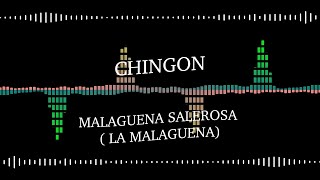 Chingon  Malagueña Salerosa Lyrics [upl. by Regan]