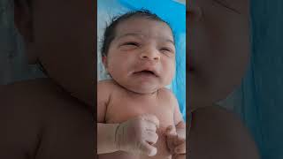 Cute born baby after birth activity so cutecute baby shorts viralshorts ytshorts [upl. by Nnylsoj782]