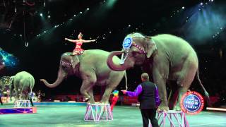 Ringling Bros Presents LEGENDS  Pachyderm Performers [upl. by Aneekal194]