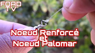 Noeud Renfonrcé et Palomar sur tresse et nylon [upl. by Ellehs754]