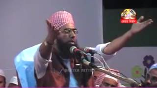 নবীজির কোরআন তিলাওয়াত BANGLA WAZ by Mawlana Jubaer Ahmed AnsariI [upl. by Atsocal688]