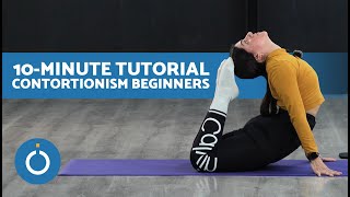 CONTORTIONISM for BEGINNERS 🍬 A Beginners Guide to Contortionism [upl. by Tremaine970]