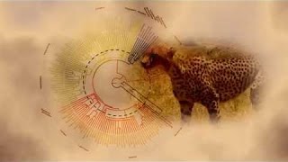 Best Documentaries  The Evolution of Mammals Part 1  Meet the Synapsids [upl. by Kemppe]