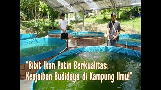 Sentra Benih Ikan Patin Kampung Ilmu [upl. by Ellissa]