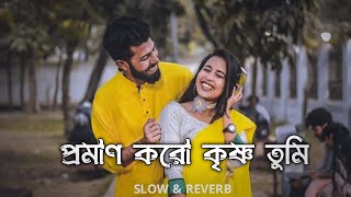 Proman Koro Krishno Tumi  Bengali lofi song slow amp reverb Kumar Sanu  Shreya Ghosal  Dada Movie [upl. by Otreblif]