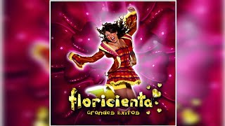 Floricienta  Corazones Al Viento Audio  Grandes Éxitos 2006 [upl. by Leuqar]