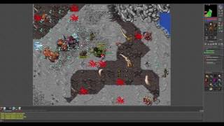 Tibia Oramond Major Minotaurs800kh exp duo [upl. by Bridges]