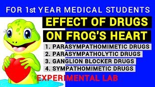 EFFECT OF DRUGS ON FROGS HEART  EXPERIMENTAL LAB  PHYSIOLOGY PRACTICALS [upl. by Rambow787]