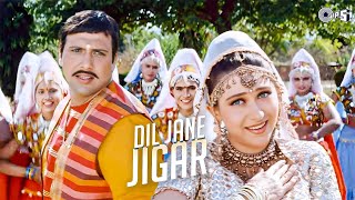 Dil Jaane Jigar Tujh Pe  Saajan Chale Sasural 1996  90s Evergreen Song  Govinda amp Karisma Hits [upl. by Gaiser]