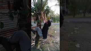 Senang sja bha tu shortvideo funny comedy povmemes memes pov fyp reels [upl. by Phineas]