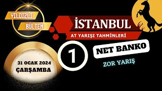 31 Ocak 2024 Çarşamba İstanbul At Yarışı Tahminleri [upl. by Leesen]