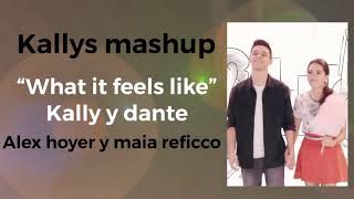 Kally’s mashup 2  what it feels like lyric [upl. by Kensell]