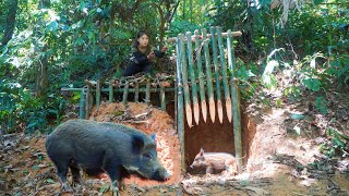 Make a trap cage to trap wild board Wild boar trapping skills surrvival alone [upl. by Nylzor]