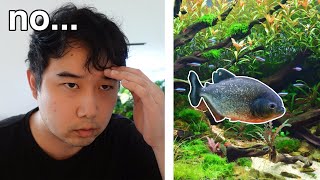 Please help my angelfish ate all his tankmates  Fish Tank Review 276 [upl. by Fremont]