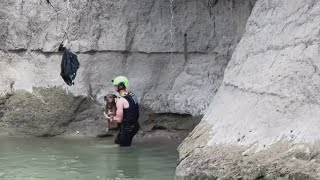 North Texas woman reunited with her missing dog rescued from Rowlett creek [upl. by Elyl]