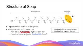 What is Saponification Structure and Action of Soaps and Detergents  HSC Chemistry [upl. by Rehotsirk]